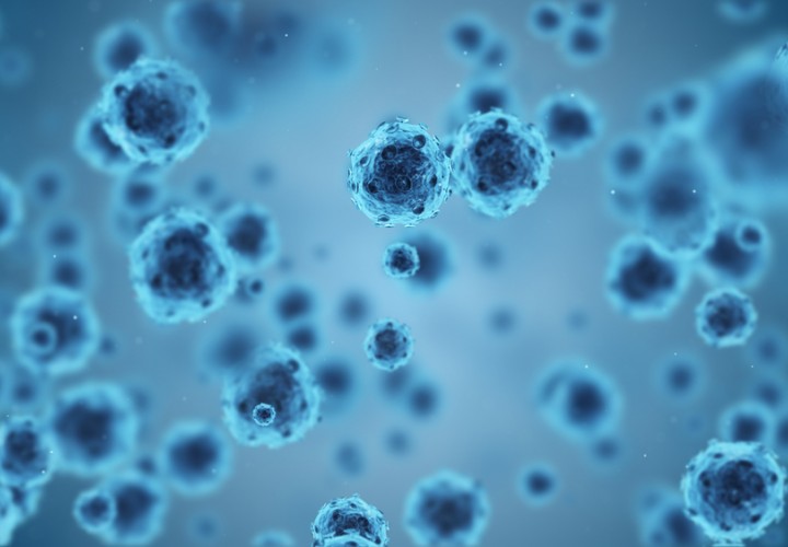 Microbiologia Molecolare